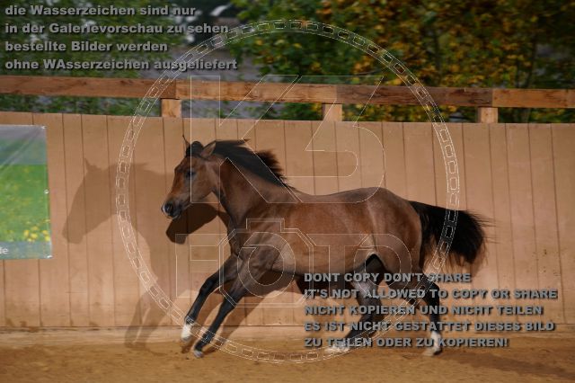 s_K3F05466.JPG